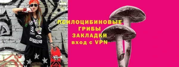 МДПВ Тобольск
