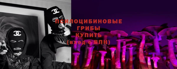 молекула духа Горнозаводск